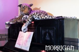 Morrigan club privè Palermo